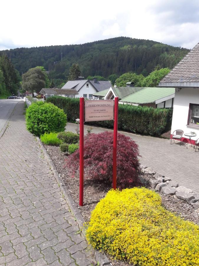 Ferienwohnung Stremme Willingen  Exterior foto